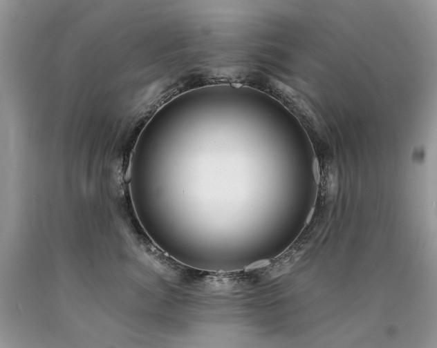 X0000090780764200707201523