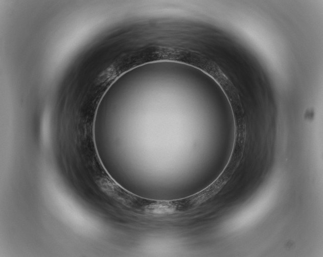 X0000090780765200707201523