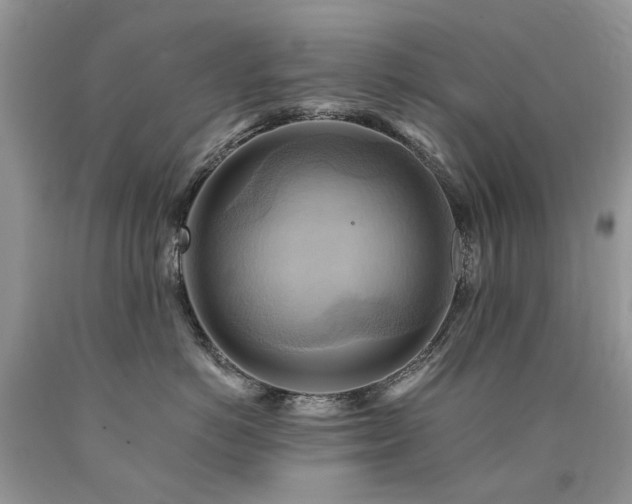 X0000090780766200707201523