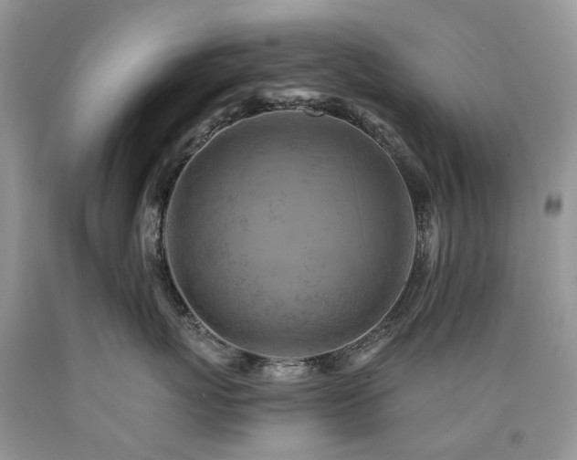 X0000090780767200707201523