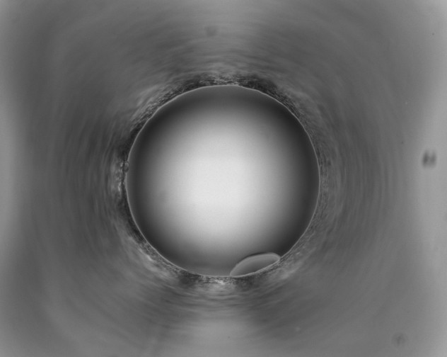 X0000090780768200707201523