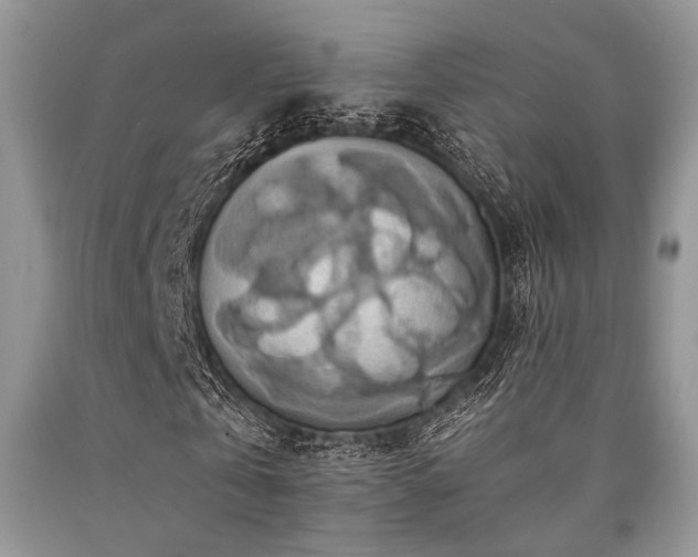 X0000090780769200707201523