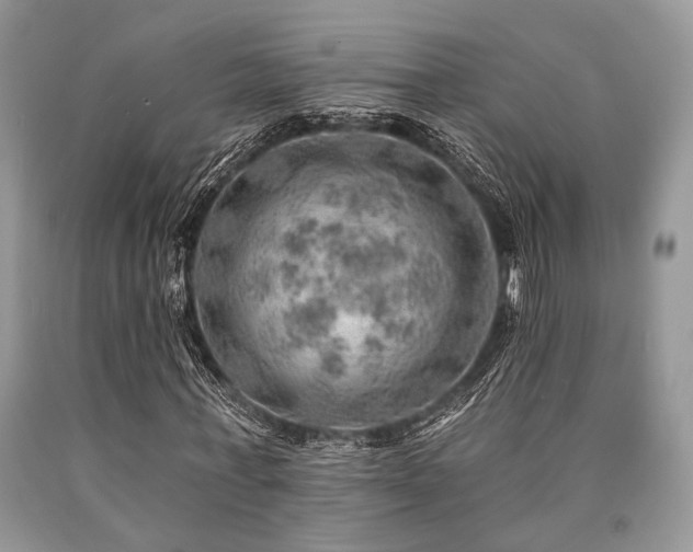 X0000090780771200707201523
