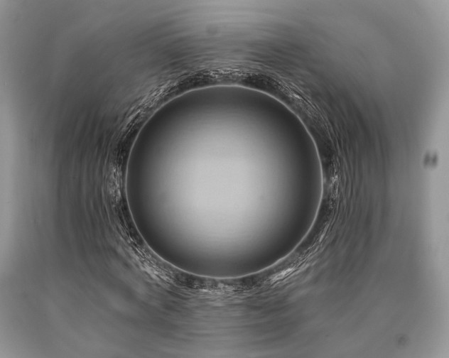X0000090780772200707201523