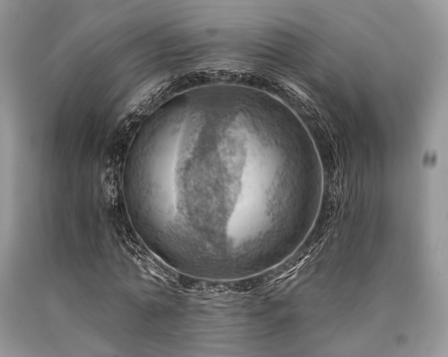 X0000090780774200707201523