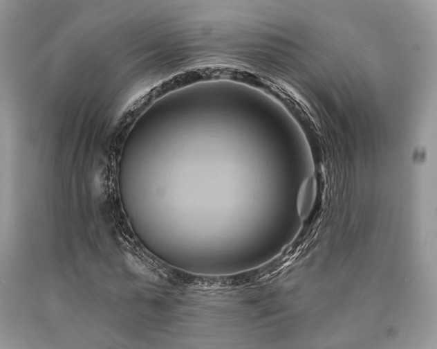 X0000090780775200707201523