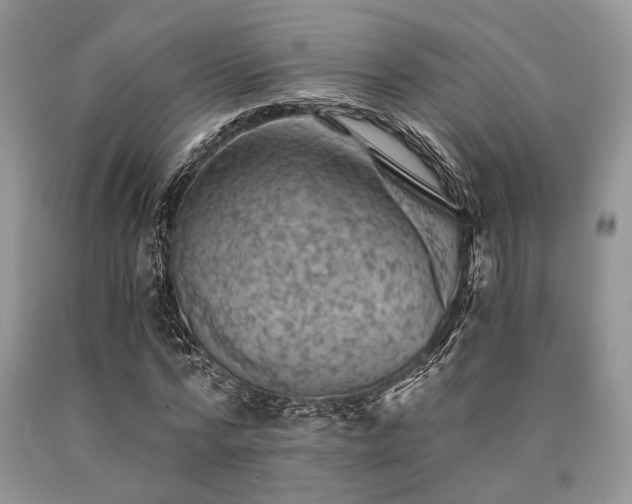 X0000090780776200707201523