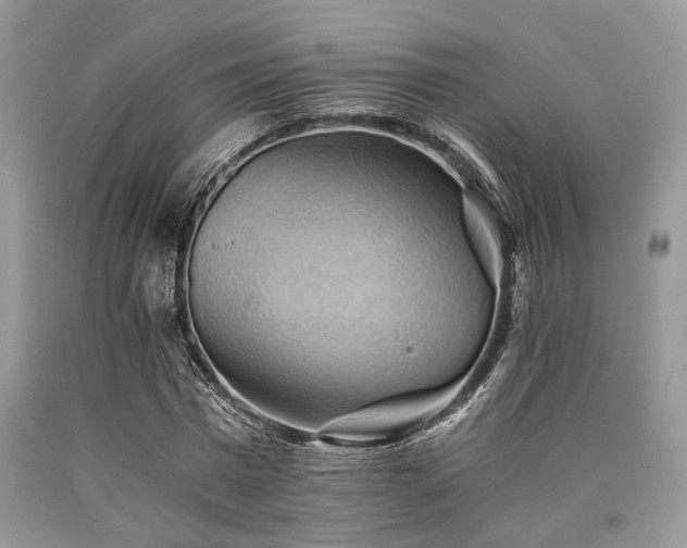 X0000090780777200707201523