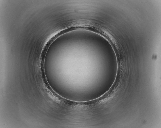 X0000090780779200707201523