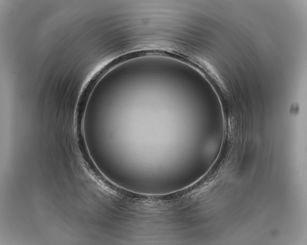 X0000090780780200707201523