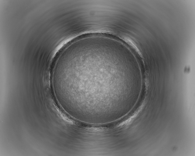 X0000090780781200707201523
