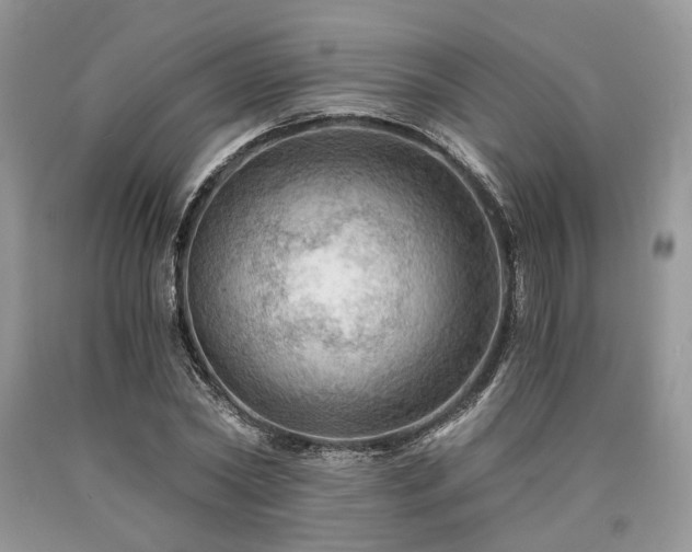 X0000090780782200707201523