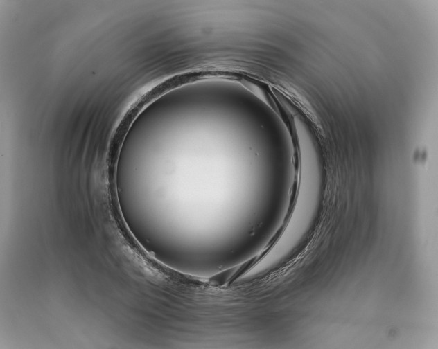 X0000090780784200707201522