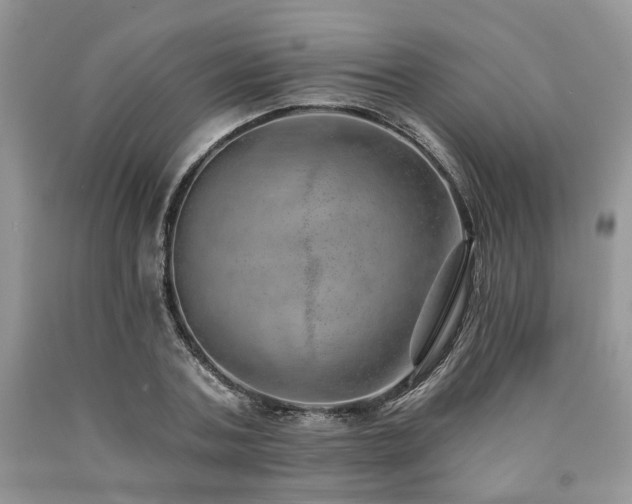 X0000090780787200707201522