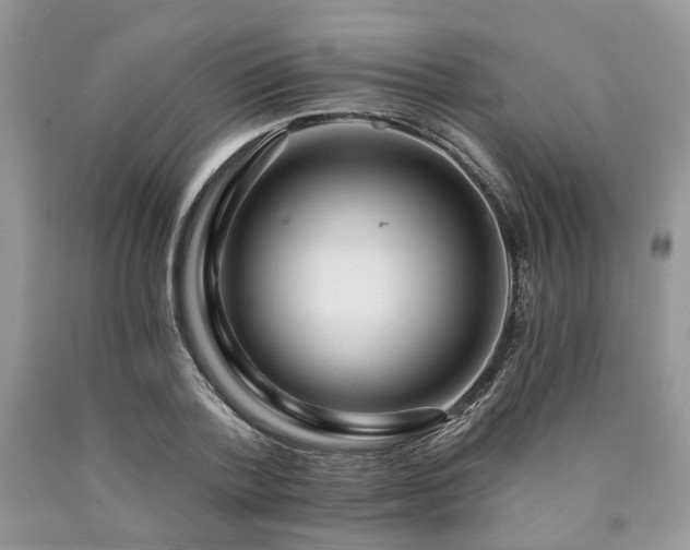 X0000090780788200707201522