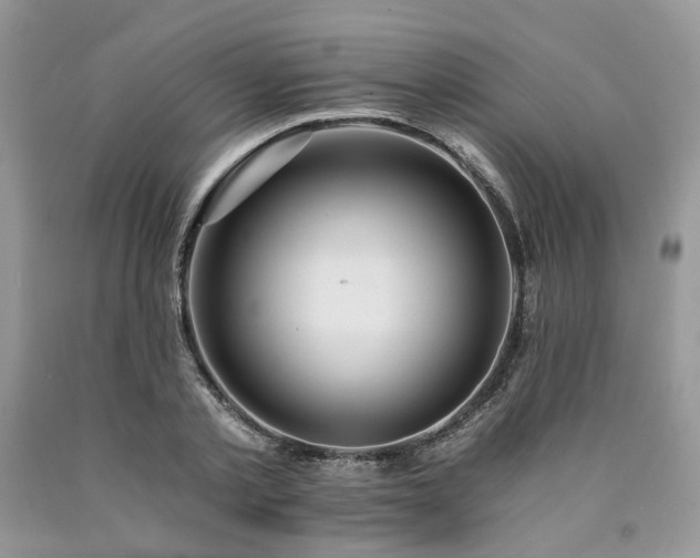 X0000090780789200707201522