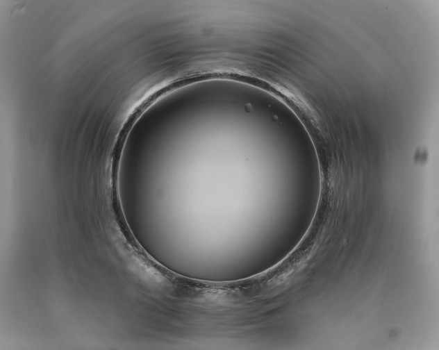 X0000090780790200707201522