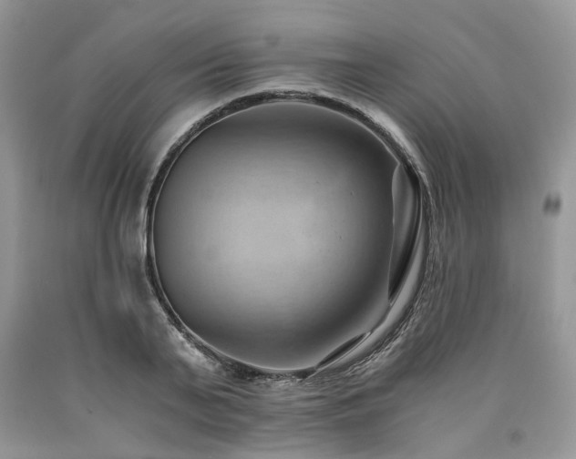 X0000090780791200707201522