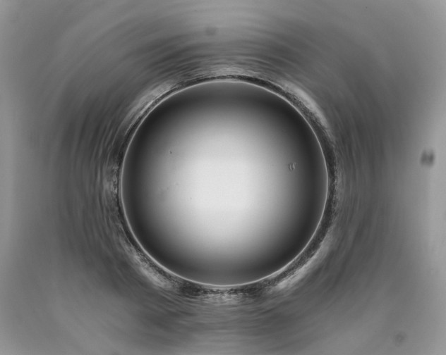 X0000090780793200707201522
