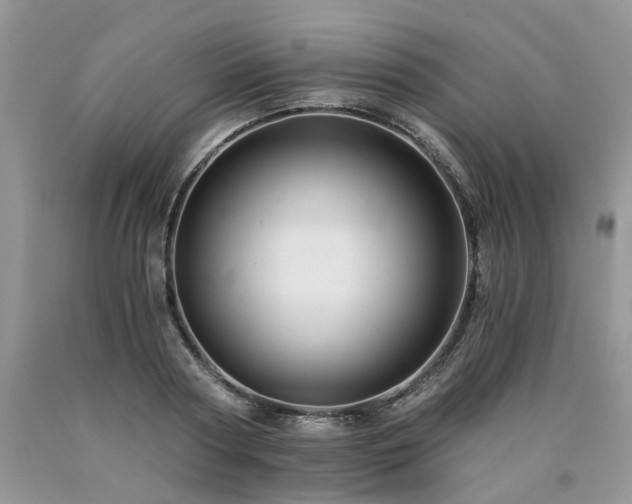 X0000090780794200707201522
