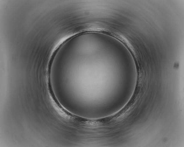 X0000090780795200707201522