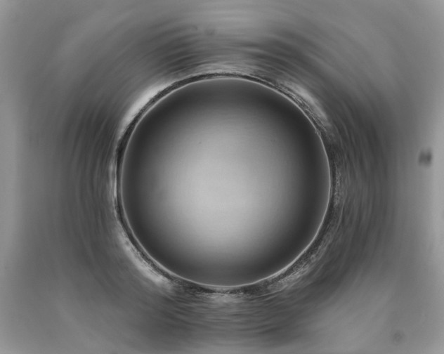 X0000090780796200707201522
