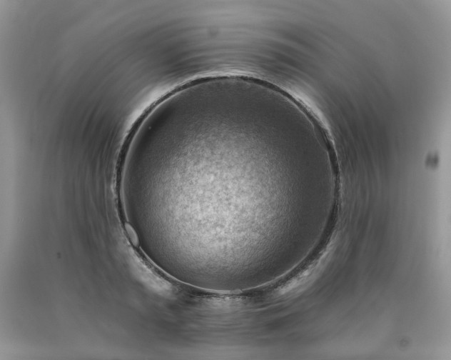 X0000090780797200707201522