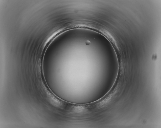 X0000090780798200707201522