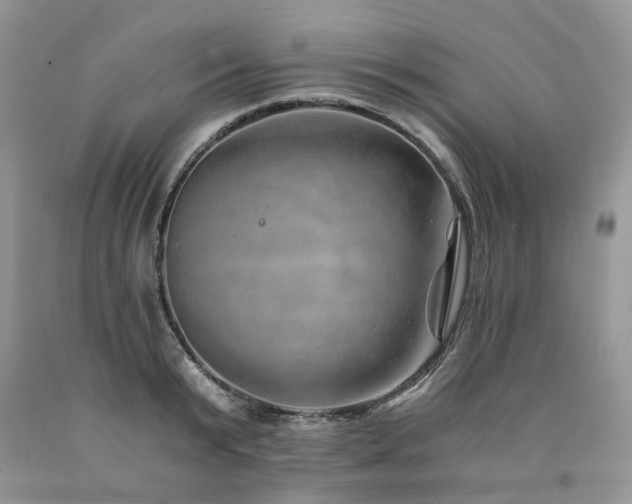 X0000090780799200707201522