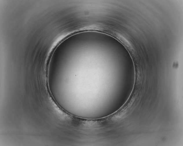 X0000090780800200707201522