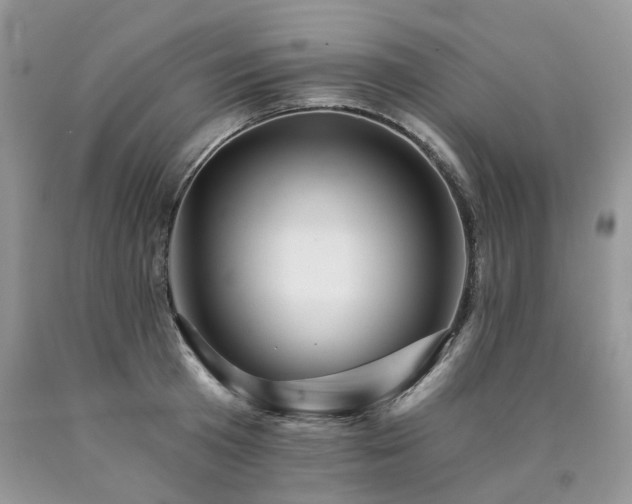 X0000090780801200707201522