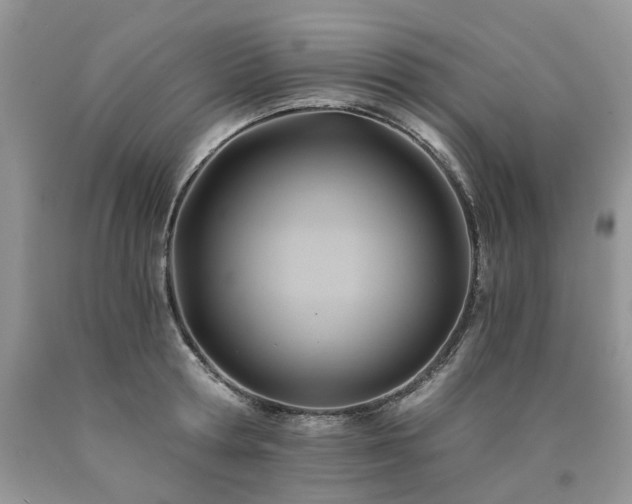 X0000090780802200707201522