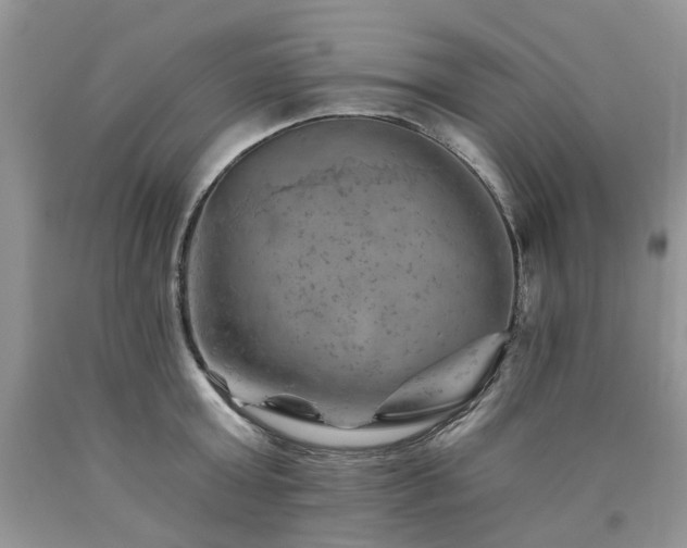 X0000090780803200707201522