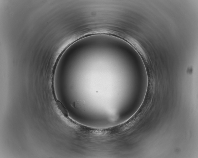 X0000090780805200707201522