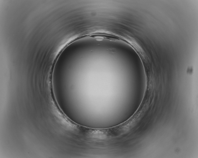 X0000090780806200707201522