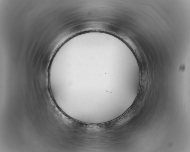X0000090780807200707201522