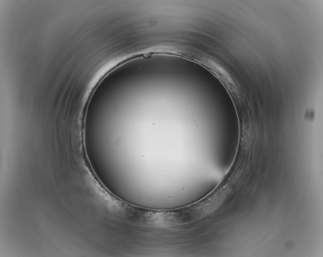 X0000090780808200707201522