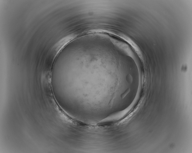 X0000090780809200707201522