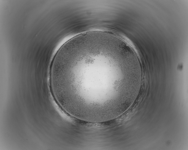 X0000090780811200707201522