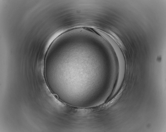 X0000090780812200707201522