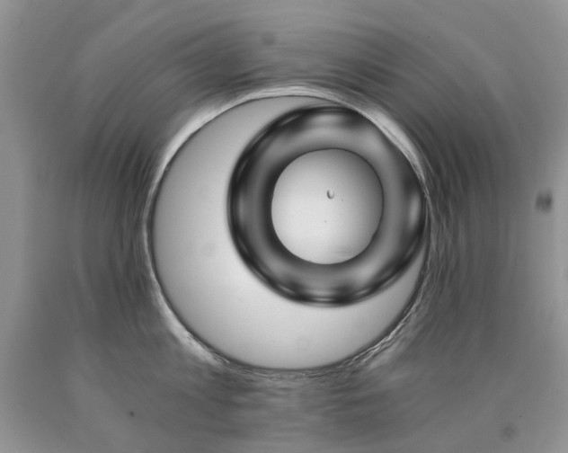 X0000090780813200707201522