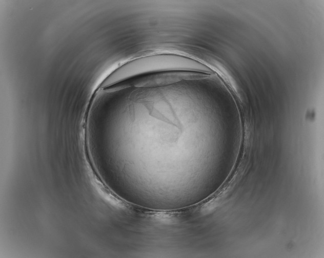 X0000090780814200707201522
