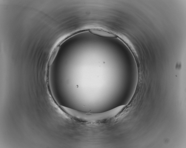 X0000090780815200707201522