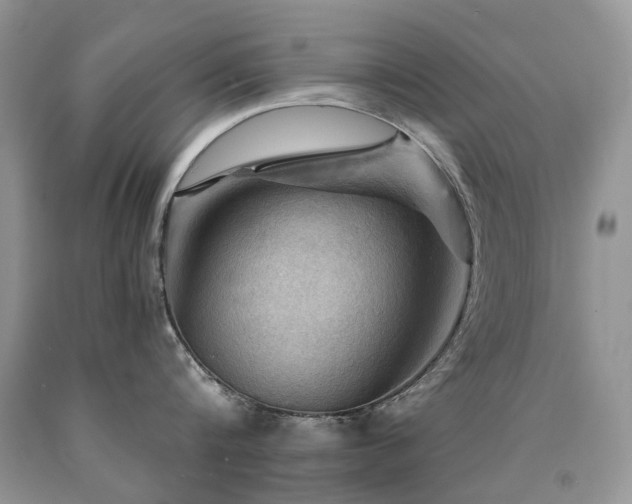 X0000090780816200707201522