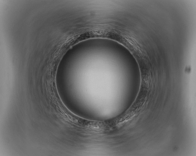 X0000090780817200707201521