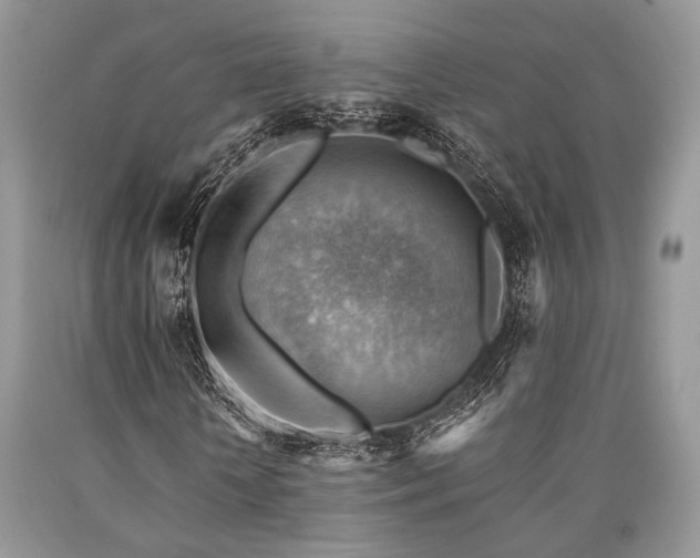 X0000090780818200707201521