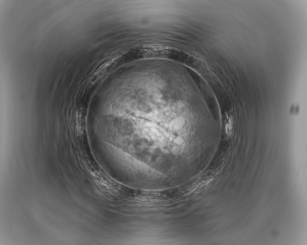 X0000090780819200707201522