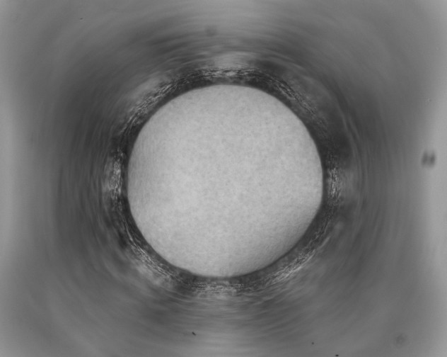 X0000090780820200707201522