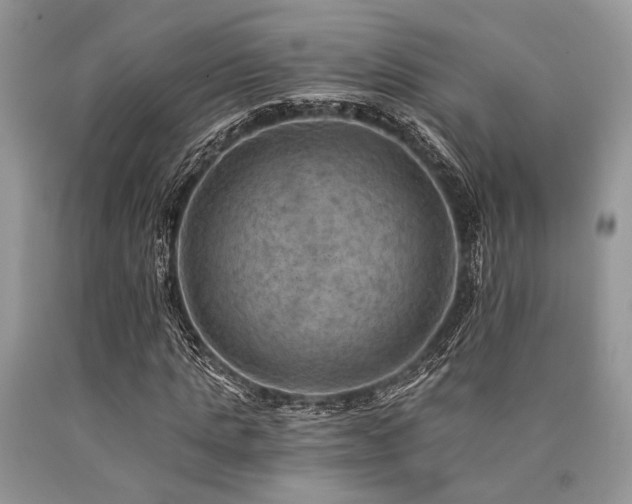 X0000090780821200707201522