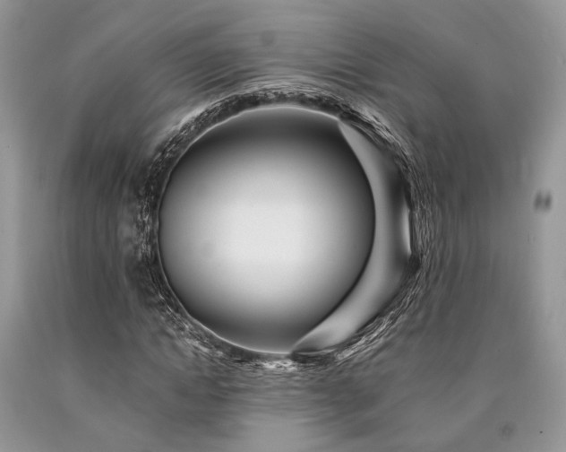 X0000090780822200707201522